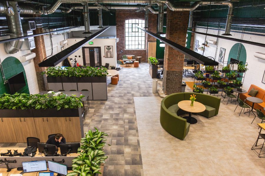 Bright loft like space with industrial feel and biophilic design