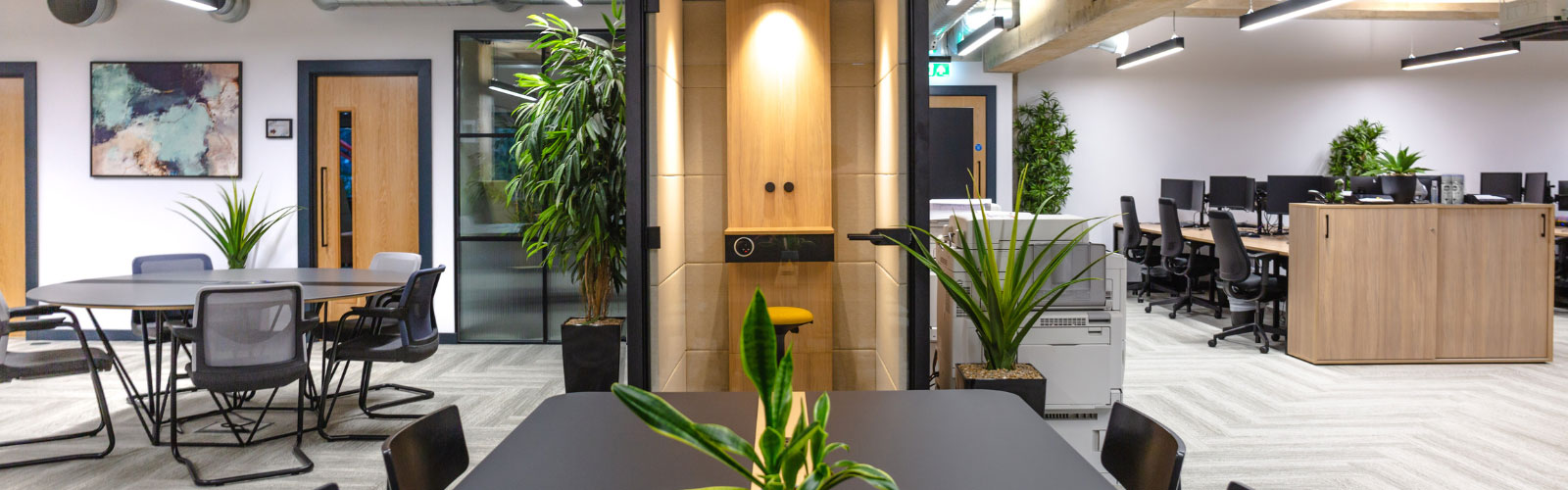 Modern minimalist biophilic office