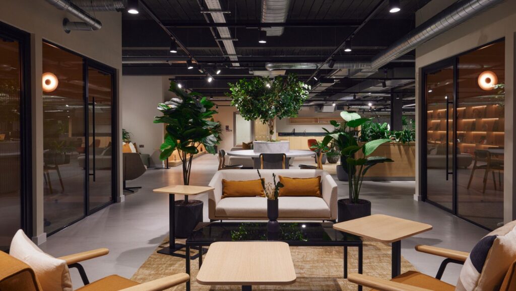 Benefits of an office refurbishment with biophilic design