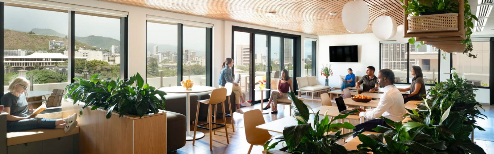 Bright modern office with plants
